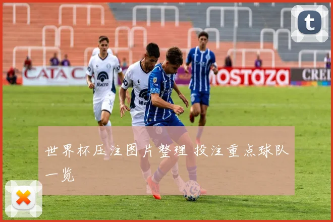 世界杯压注图片整理 投注重点球队一览