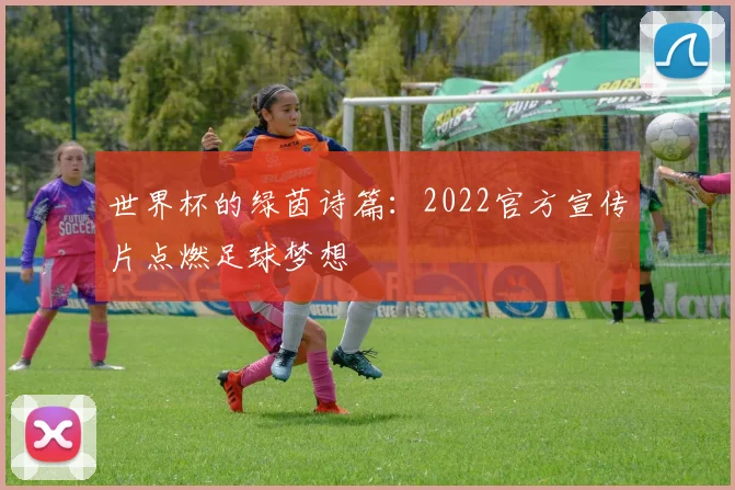 世界杯的绿茵诗篇：2022官方宣传片点燃足球梦想