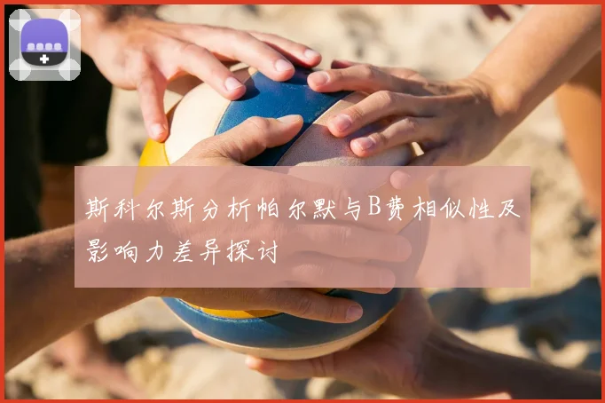 斯科尔斯分析帕尔默与B费相似性及影响力差异探讨