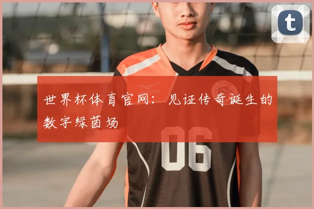 世界杯体育官网:见证传奇诞生的数字绿茵场