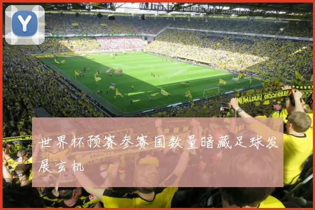世界杯预赛参赛国数量暗藏足球发展玄机