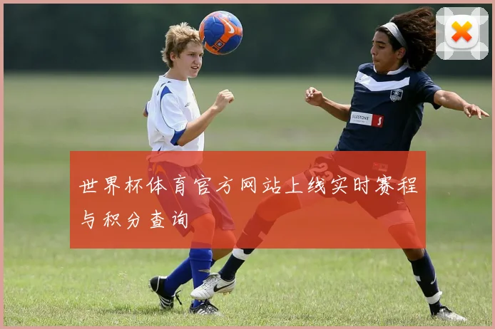 世界杯体育官方网站上线实时赛程与积分查询